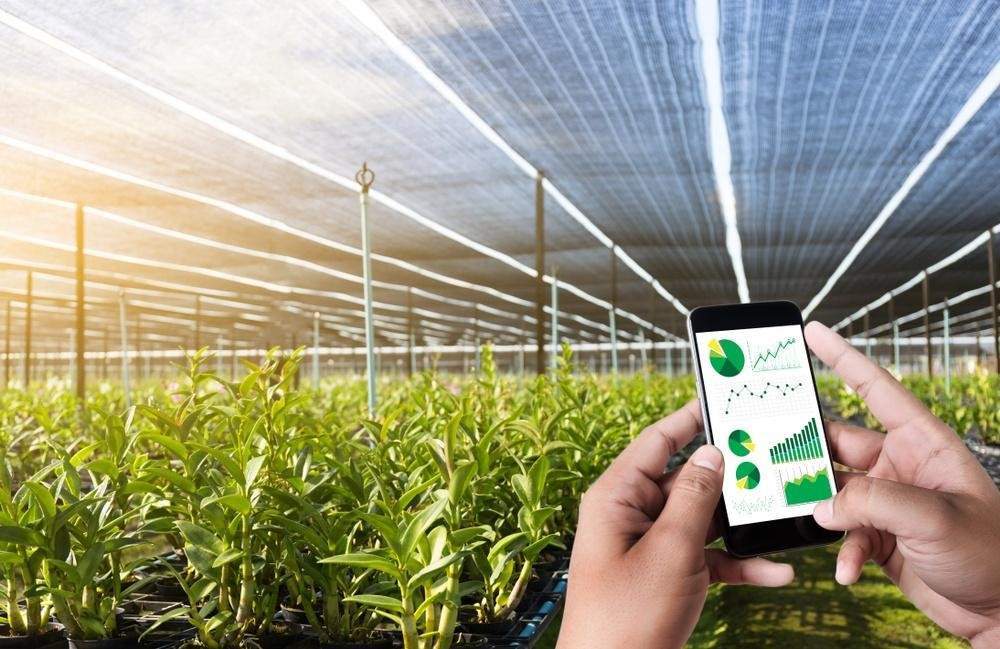 Software agrícola: conheça os principais benefícios para o seu negócio.